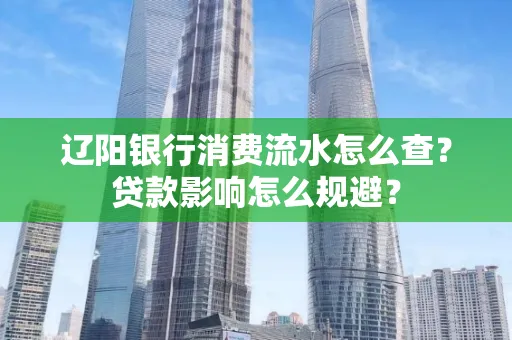 辽阳银行消费流水怎么查?贷款影响怎么规避?